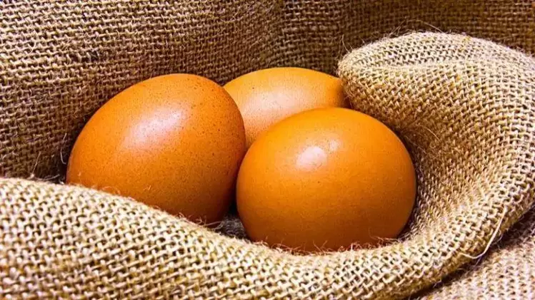 dieta a base di uova
